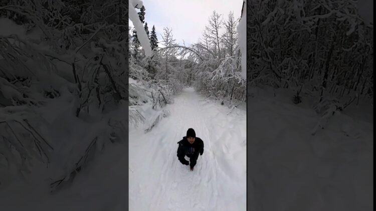 [ID: Lt6ZOR9RWhM] Youtube Automatic