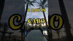 Private: [ID: B3P5rZIHVig] Youtube Automatic