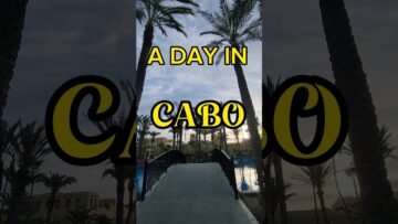 Private: [ID: B3P5rZIHVig] Youtube Automatic