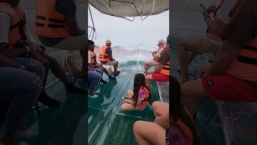 Private: [ID: wiJxb_ppy6o] Youtube Automatic