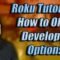 Roku Tutorials How to UNLOCK Developer Options 3rd Party Apps