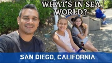 Private: [ID: DQ2TOrFSQv0] Youtube Automatic