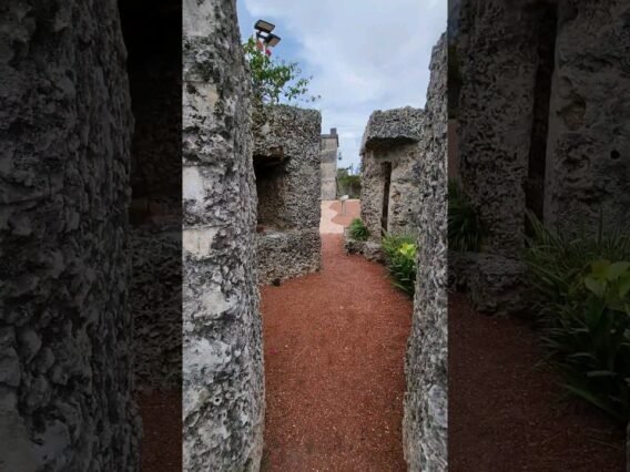 Private: [ID: i7TgW4cSpwo] Youtube Automatic