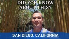 Private: [ID: UWbWyotEM9Q] Youtube Automatic